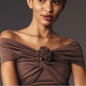 Anthropologie Wayf Cropped Off Shoulder Rosette Top Brown Size Large NWT